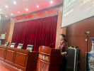 图片31
