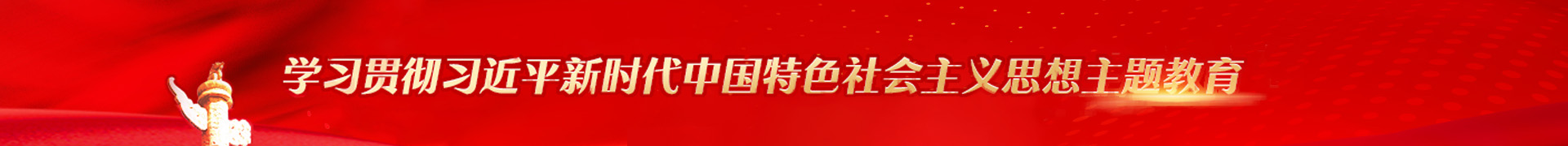 学习贯彻习近平新时代中国特色社会主义思想主题教育